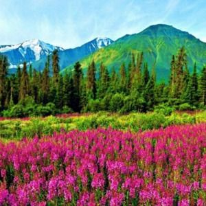 Meet your Posher, Christy